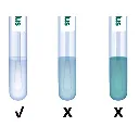 asy0039_spotcheckplusswabcolorchange_3.webp