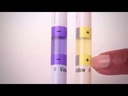 InSite® Salmonella - Environmental Salmonella Swab Test for Food Contact Surfaces